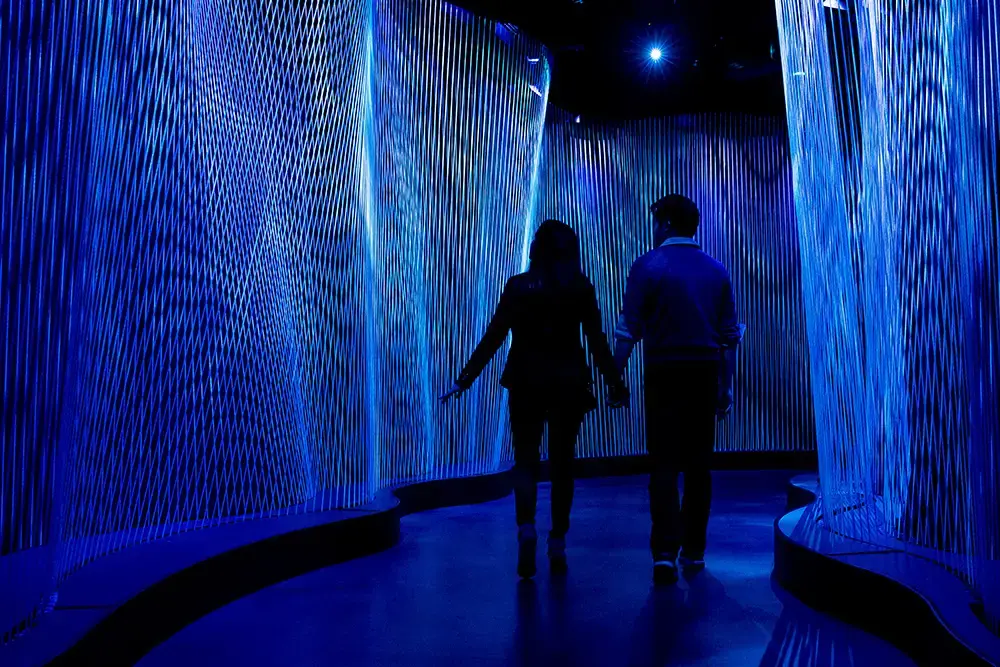 Clearwing - Museum of the Bible Lighting Installation - 2